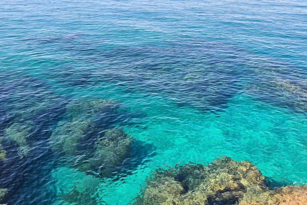 Casa Al Mare Con Spiaggia Privata Condominiale サン・フェリーチェ・チルチェーオ エクステリア 写真