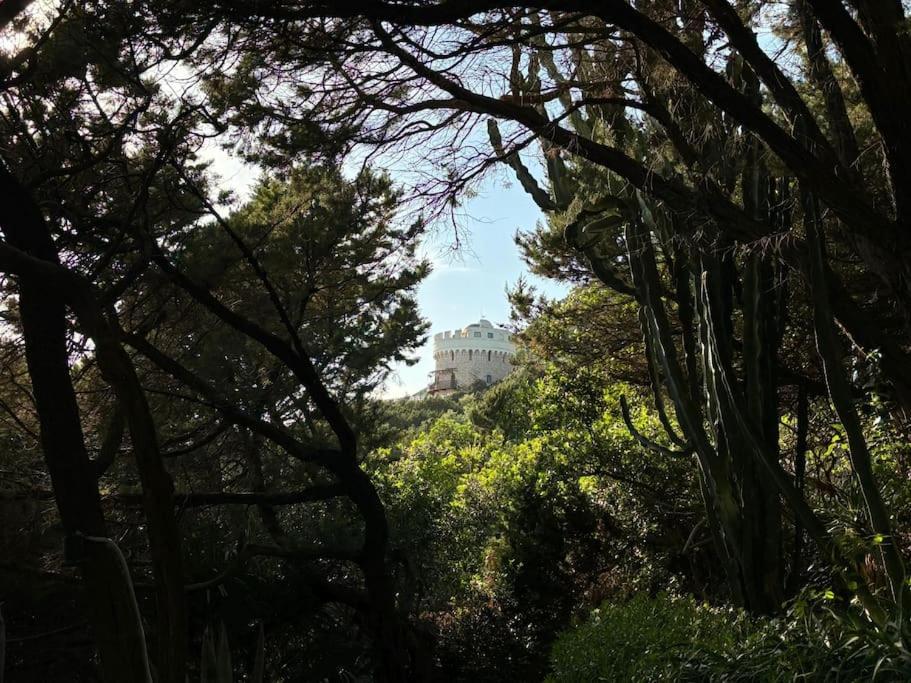 Casa Al Mare Con Spiaggia Privata Condominiale サン・フェリーチェ・チルチェーオ エクステリア 写真