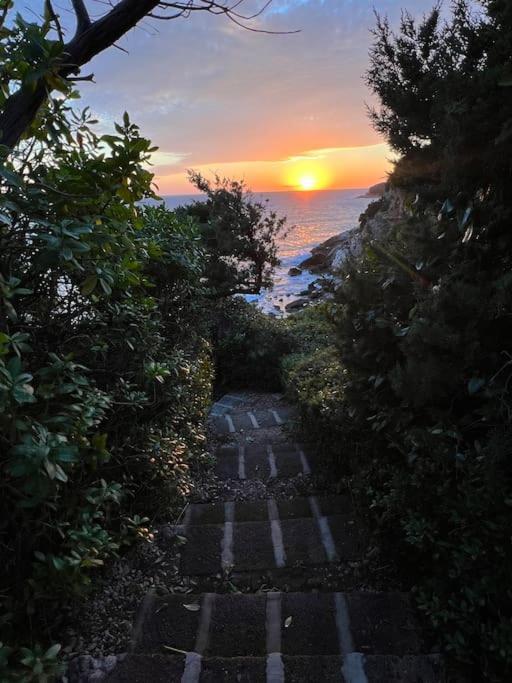 Casa Al Mare Con Spiaggia Privata Condominiale サン・フェリーチェ・チルチェーオ エクステリア 写真
